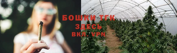 индика Карталы