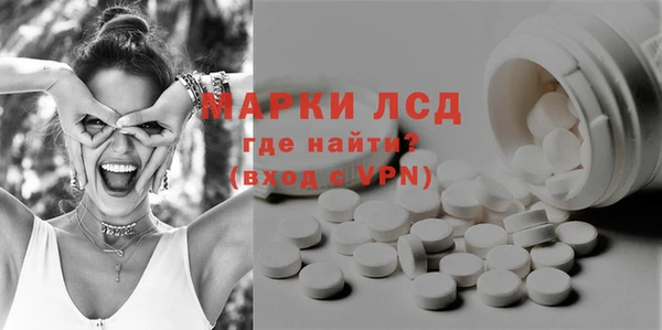 индика Карталы