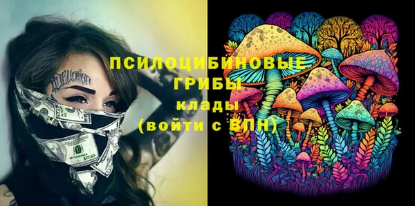 ГАЛЛЮЦИНОГЕННЫЕ ГРИБЫ Карпинск