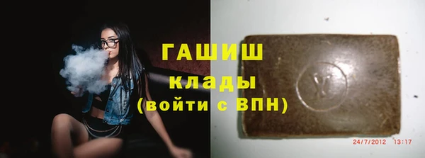 индика Карталы