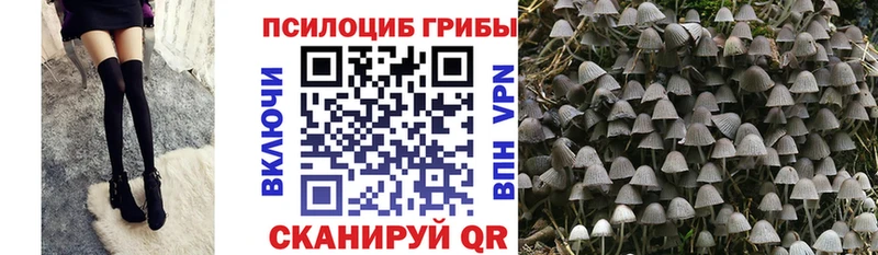 Псилоцибиновые грибы MAGIC MUSHROOMS  Азов 