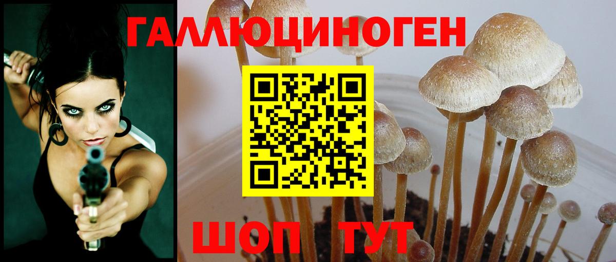 Галлюциногенные грибы Psilocybine cubensis  Вход с VPN  Галлюциногенные грибы ЛСД  Азов 